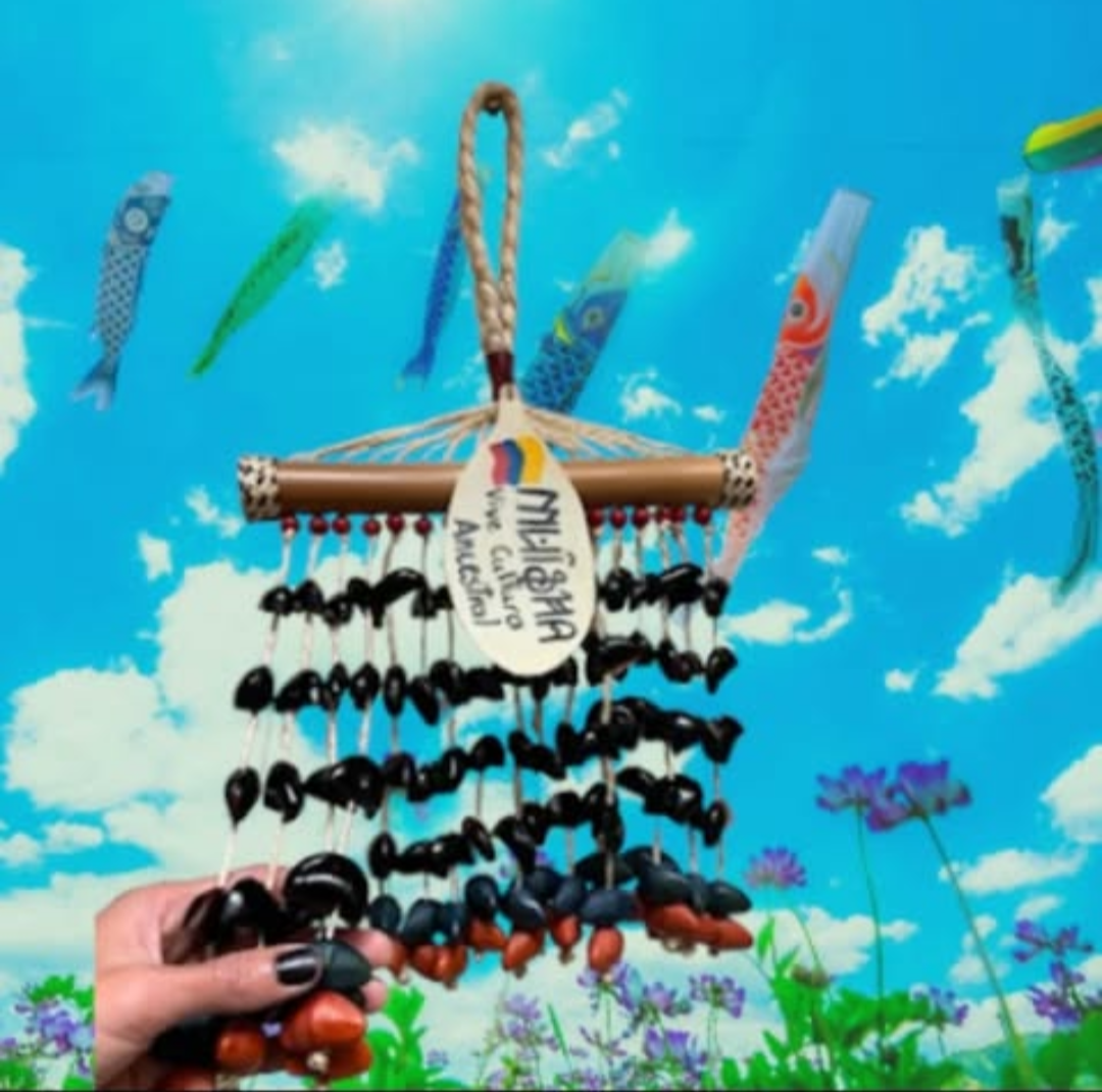 Imagen de Instrumento musical“Chajcha” disfruta de poder que tiene la semilla ojo de buey.