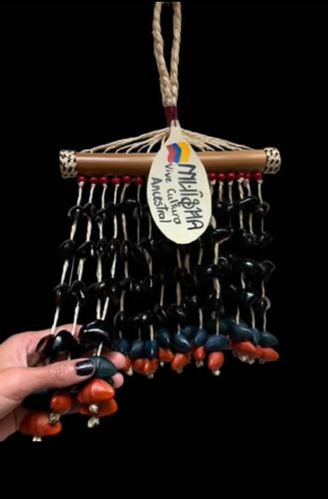 Imagen de Instrumento musical“Chajcha” disfruta de poder que tiene la semilla ojo de buey.