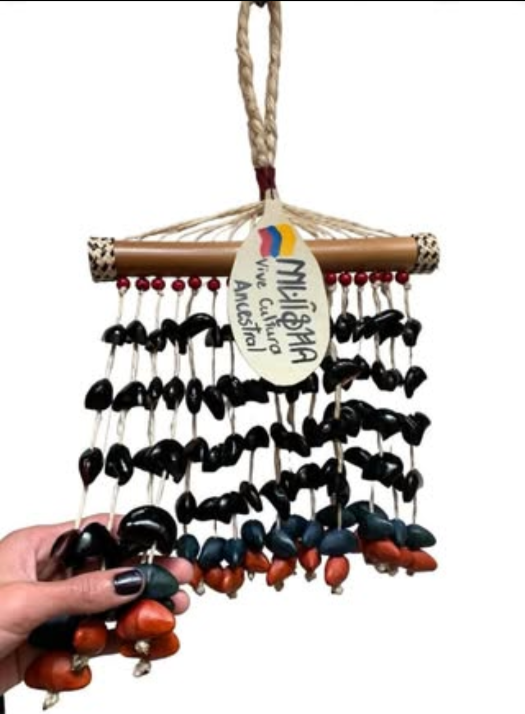 Imagen de Instrumento musical“Chajcha” disfruta de poder que tiene la semilla ojo de buey.