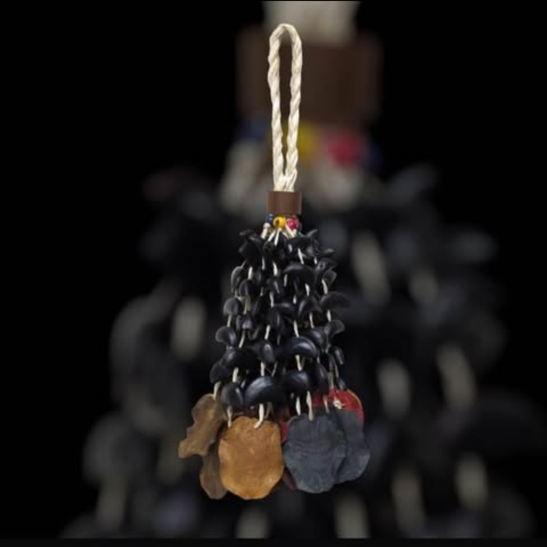 Imagen de Instrumento musical“Chajcha” disfruta de poder que tiene la semilla ojo de buey.