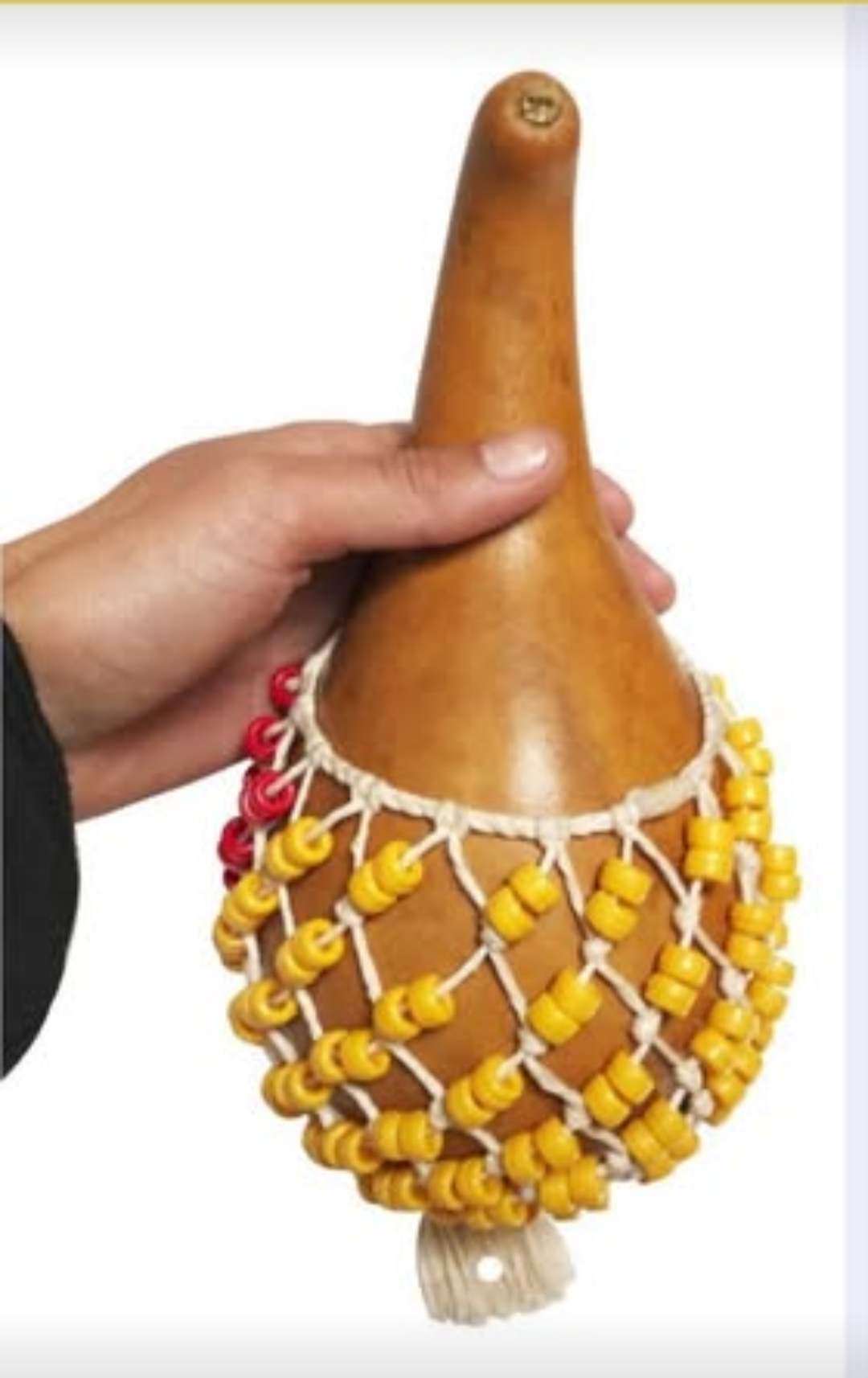 Imagen de portada de Shequere o Maraca Africana