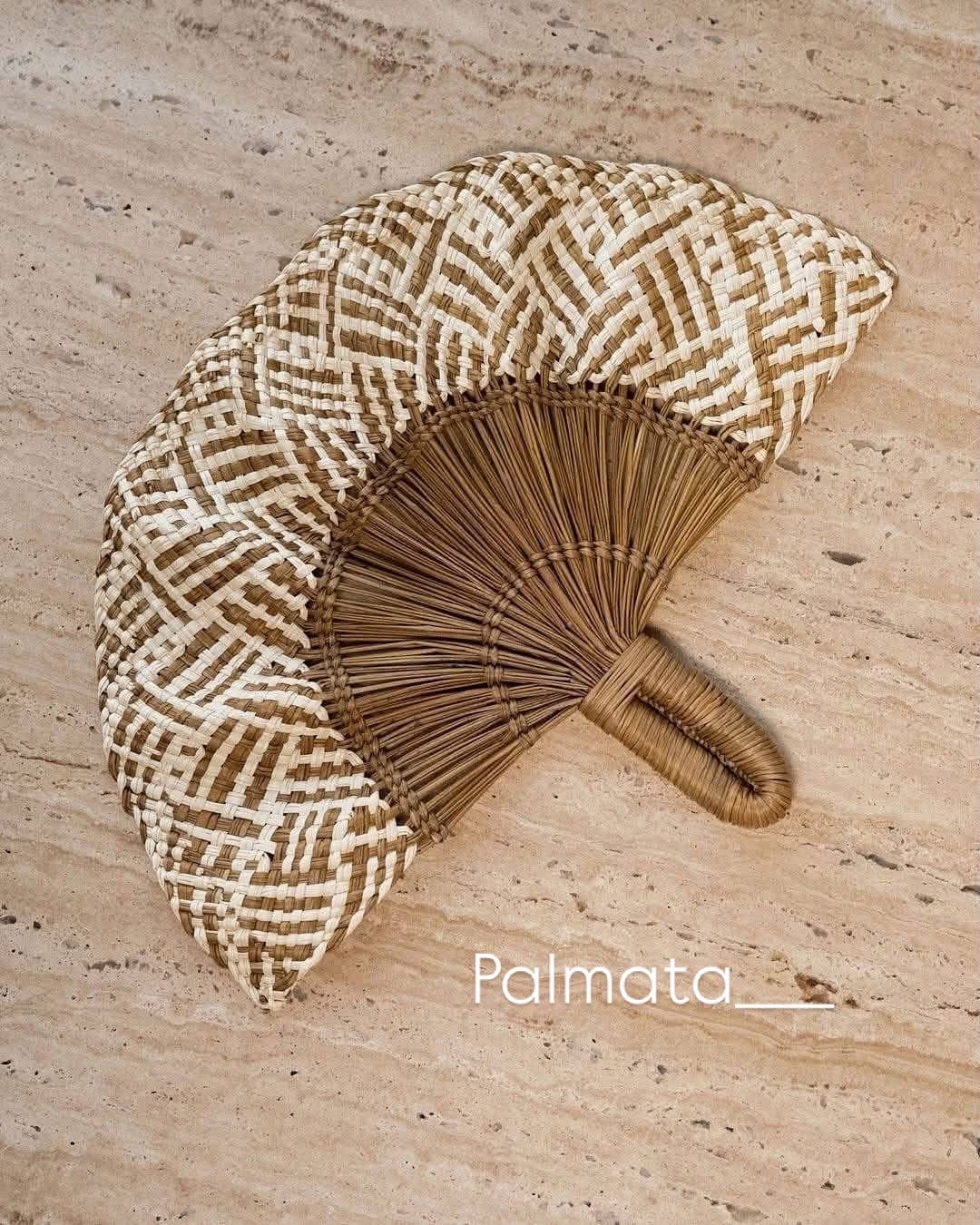 Imagen de portada de Abanicos en palma de iraca 